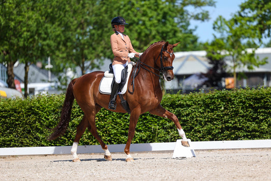 Show Jacket - Caramel