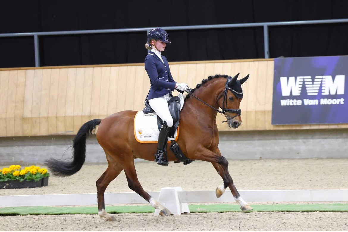 Sophie van Norel riding her pony in an extended canter during the Dutch National Championships, wearing her JuulC competition coat