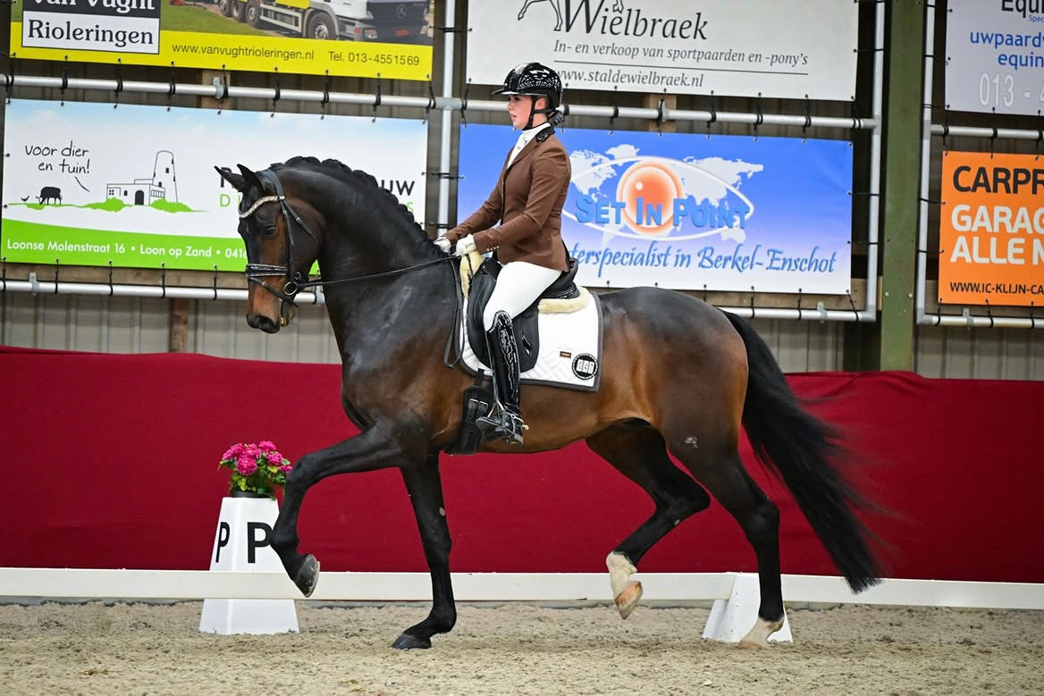 Romy Veldmeijer riding her bay horse in a young horse competition wearing a JuulC show coat