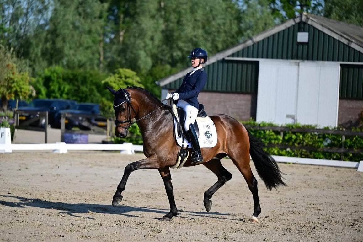 Jessica Lynn Thomas showing an extended trot with her bay horse, wearing a JuulC show jacket
