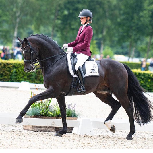 Competition Jacket - Burgundy